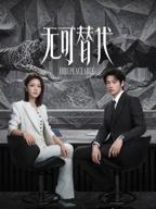 《无可替代》电视剧免费观看全集高清版